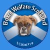 Boxer Welfare Scotland Logo