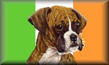 Boxer Rescue Ireland Logo