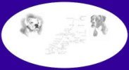 Cornwall & South Devon Boxer Rescue Logo