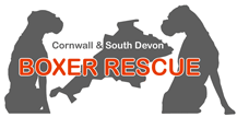 Cornwall & South Devon Boxer Rescue Logo