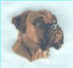 Tyne Wear and Tees Boxer Rescue Logo