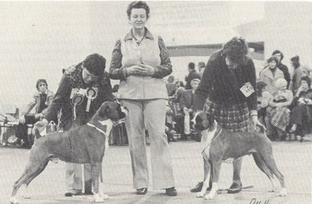 Crufts 1979 - Taken from SWBC Blue Book '79