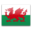 Welsh Flag