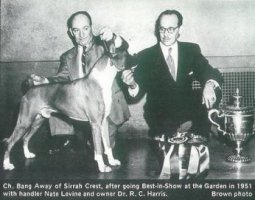 CH Bang Away winning BIS Westminster 1951