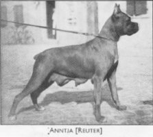 Annitja (Reuter)
