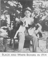 Black & White Boxers in 1914