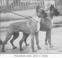 Volkmar & Utz v. Dom
