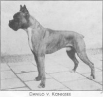 Danilo v. Konigsee