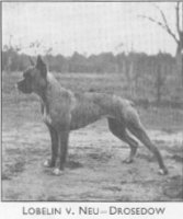 Lobelin v. Neu-Drosedow