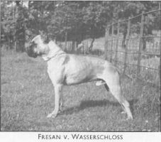 Fresan v. Wasserschloss