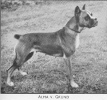 Alma v. Grund
