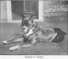 Dasso v. Turm