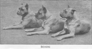 Boxers
