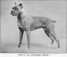 Ach v. d. Leipziger Messe