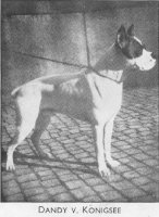 Dandy v. Königsee