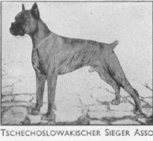 Tschechoslowakischer Sieger Asso