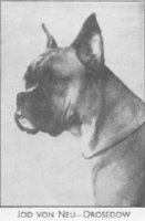Jod von Neu - Drosedow