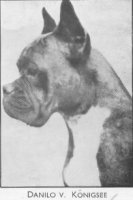 Danilo v. Konigsee