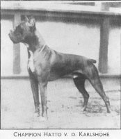 Champion Hatto v. d. Karlshohe