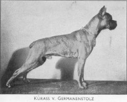 Kurass v. Germanenstolz