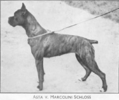 Asta v. Marcolini Schloss
