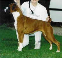 CH Chlolocx Classic Case for Jinnybrux