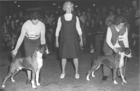 Crufts 1972 - CH Seefeld Picasso & Coperscope Wynbok Sophia