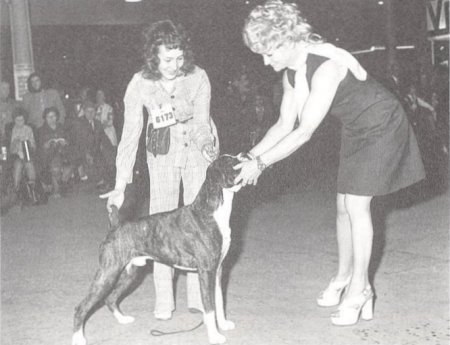 BOB Crufts 1973 - CH Marbelton Desperate Dan