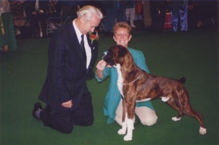 Crufts 1996 - Boxer BOB - CH Blueprint Beern Skittles at Walkon (AUST IMP)