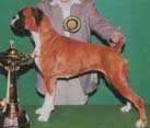 Crufts 2000 - Working Group Winner - CH SANTONOAKS BE BOP A LULA