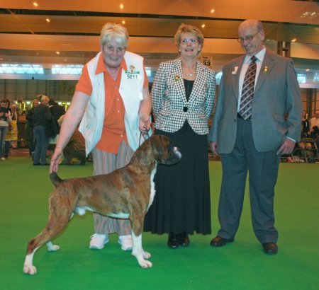 Crufts 2007 - Boxer BOB - Susancar Hugh Bett JW
