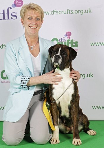 Crufts 2010 - Boxer BOB