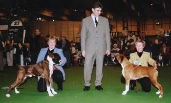 Crufts 1999 - BOB and BOS