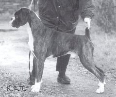 CH Jenroy Edge Of Darkness