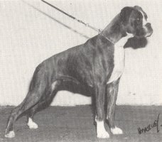 CH Marbelton Burley Chassis - Right Side - Photo from SWBC Boxer '87, Page 90