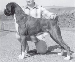 CH Maristar Reflection of Skirlaw