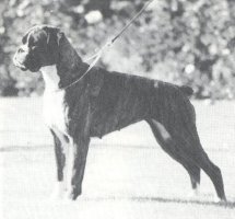 CH Newlaithe Marietta