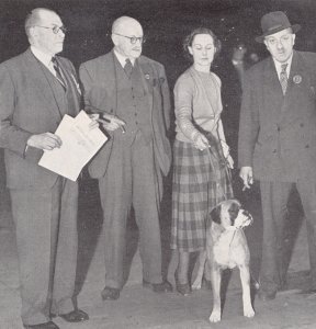 Orburn Kekeri winning BIS at Birmingham National 1949