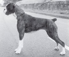 CH Parthanes Heatwave at Janbeau