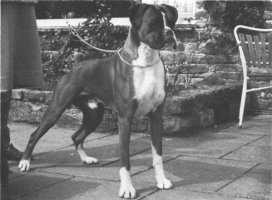 CH Seefeld Goldsmith