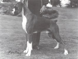 CH Seefeld Shadowfax