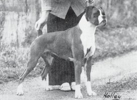 CH Seefeld Tinkerbelle