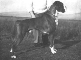 CH Silverstein Sundance Kid