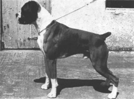 CH Thunderbolt of Trywell